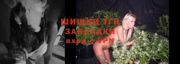 гидропоника Инта
