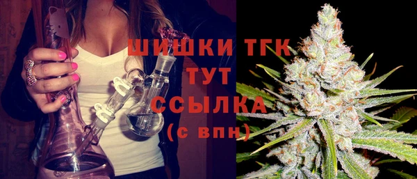 гидропоника Инта