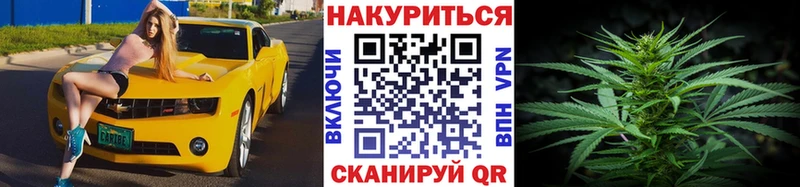 Купить где Багратионовск Канабис LSD WEED